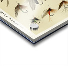 Trout Flies  Acrylic print