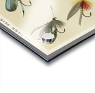 Lake Flies Acrylic print