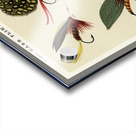 Bass Flies  Acrylic print