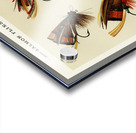 Salmon Flies  Acrylic print