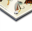 Salmon Flies Acrylic print