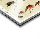 Trout Flies  Acrylic print