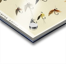 Trout Flies  Acrylic print