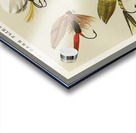 Bass Flies  Acrylic print