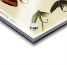 Lake Flies  Acrylic print