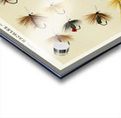 Hackles  Acrylic print