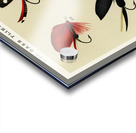 Bass Flies  Acrylic print