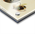 Trout & Bass Flies  Acrylic print