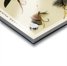 Trout & Bass Flies  Acrylic print