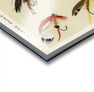 Lake Flies  Acrylic print