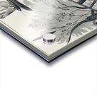 Brown Stone-flies  Acrylic print