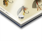 Lake Flies  Acrylic print