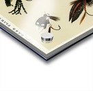 Bass Flies  Acrylic print