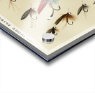 Trout Flies  Acrylic print