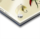 Bass Flies  Acrylic print