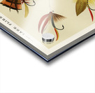 Lake Flies  Acrylic print