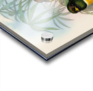 John Gould trogons 006 Acrylic print