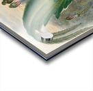 John Gould trogons 027 Acrylic print