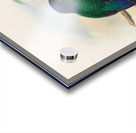 John Gould trogons 031 Acrylic print