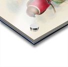 John Gould trogons 047 Acrylic print