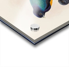 John Gould trogons 030 Acrylic print