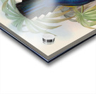 John Gould trogons 007 Acrylic print