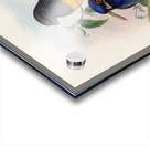 John Gould trogons 018 Acrylic print