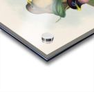 John Gould trogons 022 Acrylic print