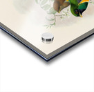 John Gould trogons 040 Acrylic print