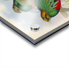 John Gould trogons 003 Acrylic print