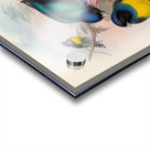 John Gould trogons 008 Acrylic print