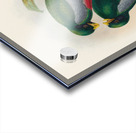 John Gould trogons 029 Acrylic print