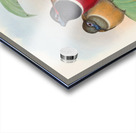 John Gould trogons 023 Acrylic print