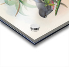 John Gould trogons 017 Acrylic print