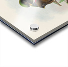 John Gould trogons 028 Acrylic print