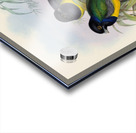 John Gould trogons 009 Acrylic print