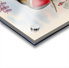 John Gould trogons 011 Acrylic print