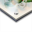 John Gould trogons 014 Acrylic print