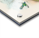 John Gould trogons 015 Acrylic print