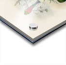 John Gould trogons 037 Impression Acrylique