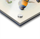 John Gould trogons 046 Acrylic print