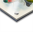 John Gould trogons 043 Acrylic print