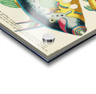 Colourful and surreal illustrations of maribe life found in Moluccas Indonesia and the East Indies by Louis Renard 1678 -1746 from Histoire naturelle des plus rares curiositez de la mer des Indes 1754. Acrylic print