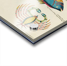 Colourful and surreal illustrations of fishes and crab found in Moluccas Indonesia and the East Indies by Louis Renard 1678 -1746 from Histoire naturelle des plus rares curiositez de la mer des Indes 1754. Acrylic print