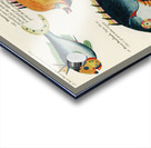 Colourful and surreal illustrations of fishes found in Moluccas Indonesia and the East Indies by Louis Renard 1678 -1746 from Histoire naturelle des plus rares curiositez de la mer des Indes 1754. Acrylic print