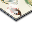 Colourful and surreal illustrations of fishes found in Moluccas Indonesia and the East Indies by Louis Renard 1678 -1746 from Histoire naturelle des plus rares curiositez de la mer des Indes 1754. Acrylic print