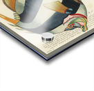 Colourful and surreal illustrations of fishes found in Moluccas Indonesia and the East Indies by Louis Renard 1678 -1746 from Histoire naturelle des plus rares curiositez de la mer des Indes 1754. Acrylic print