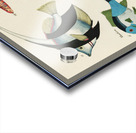 Colourful and surreal illustrations of fishes found in Moluccas Indonesia and the East Indies by Louis Renard 1678 -1746 from Histoire naturelle des plus rares curiositez de la mer des Indes 1754. Acrylic print