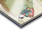 Colourful and surreal illustrations of fishes found in Moluccas Indonesia and the East Indies by Louis Renard 1678 -1746 from Histoire naturelle des plus rares curiositez de la mer des Indes 1754. Acrylic print