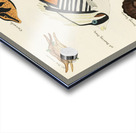 Colourful and surreal illustrations of fishes found in Moluccas Indonesia and the East Indies by Louis Renard 1678 -1746 from Histoire naturelle des plus rares curiositez de la mer des Indes 1754. Acrylic print